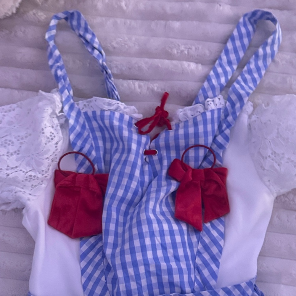 Dorothy Wizard of Oz Costume